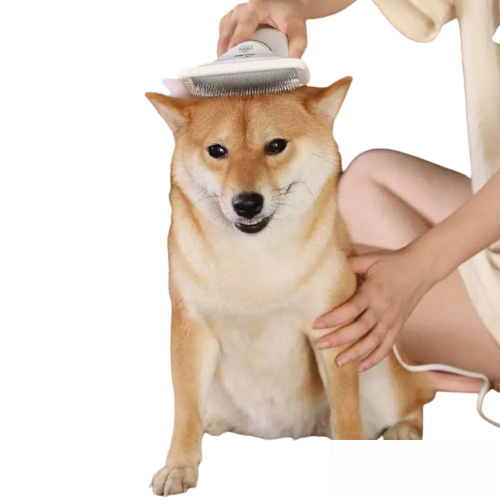 110473842_60271860ac6115-43625413IMG-c66bc424f1b-1200x1200-removebg-preview