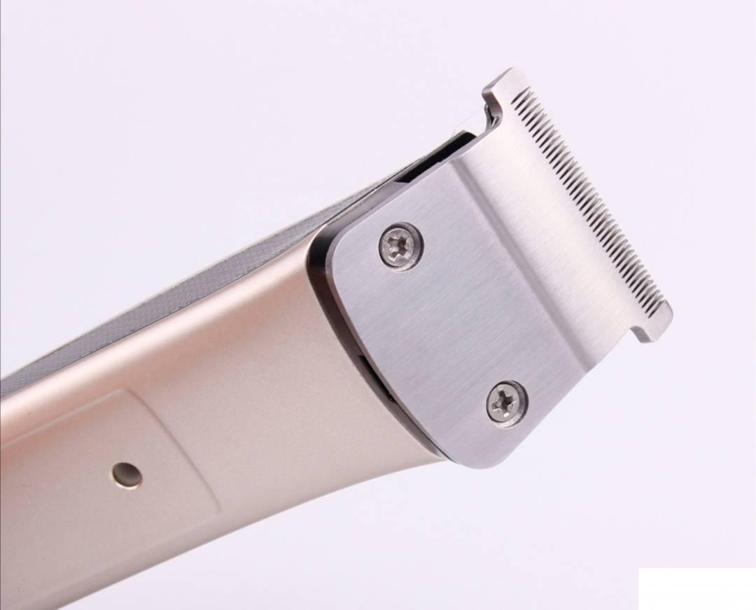 122833064_613aed8346cb94-651585901631251821160