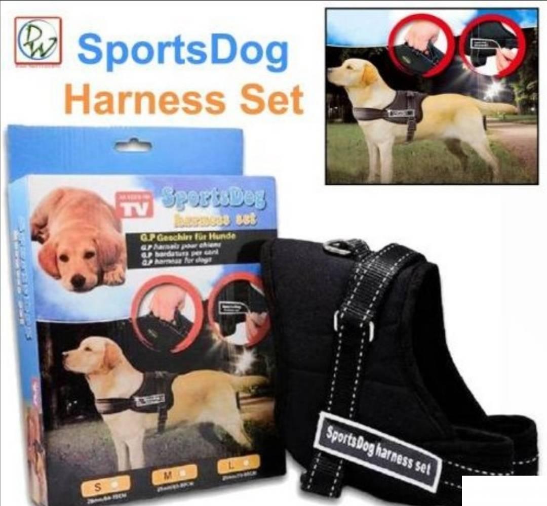 123352824_614717ad02e708-059656251632049044364