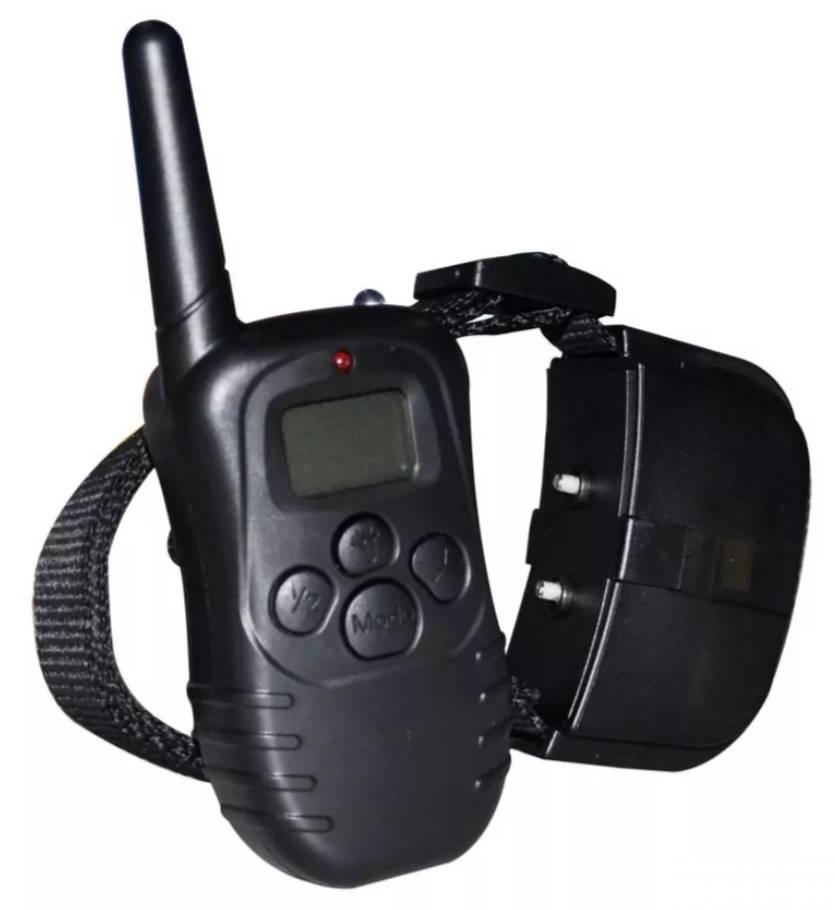 124073804_6156d01b47df92-744384581633079245174