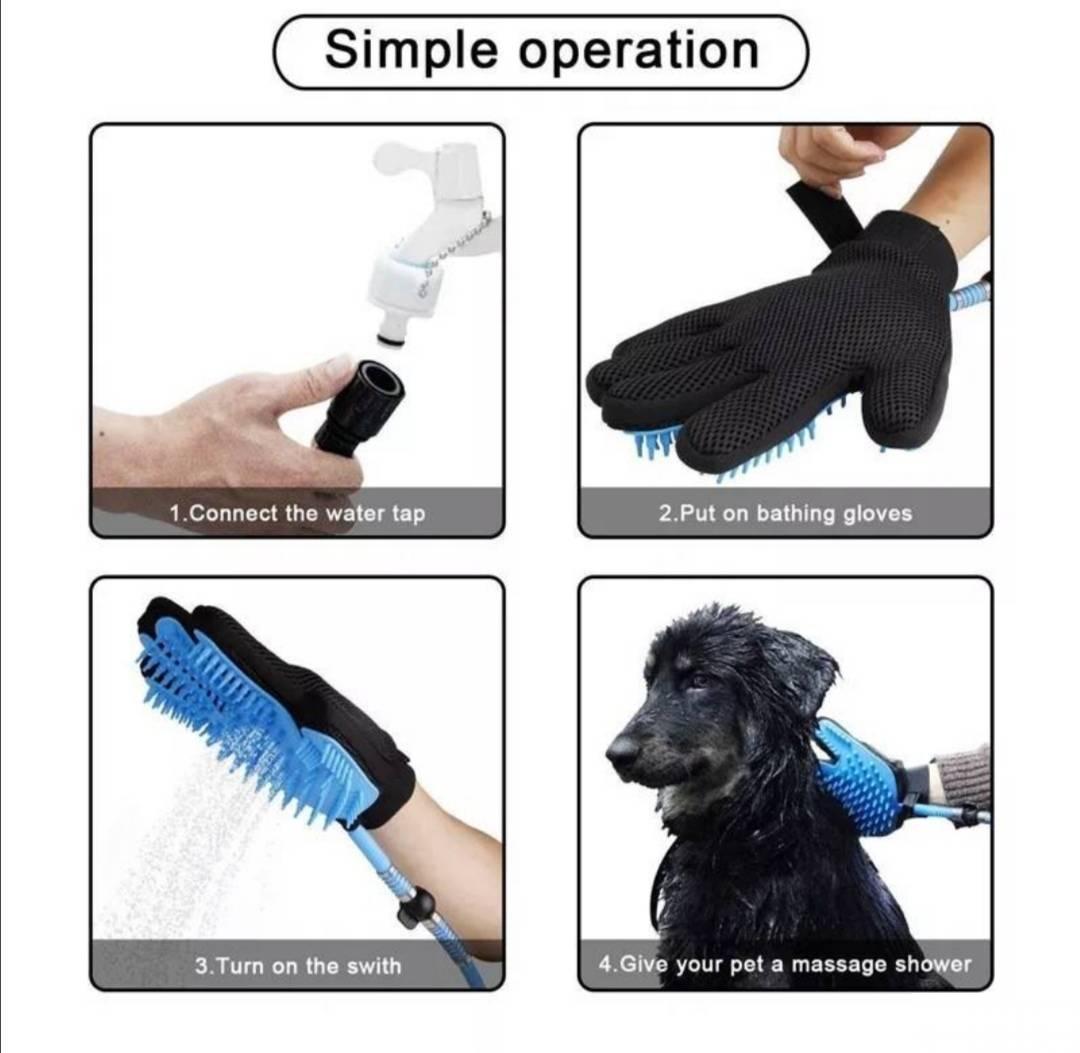 125168767_616ed261ae7911-173641821634652730782