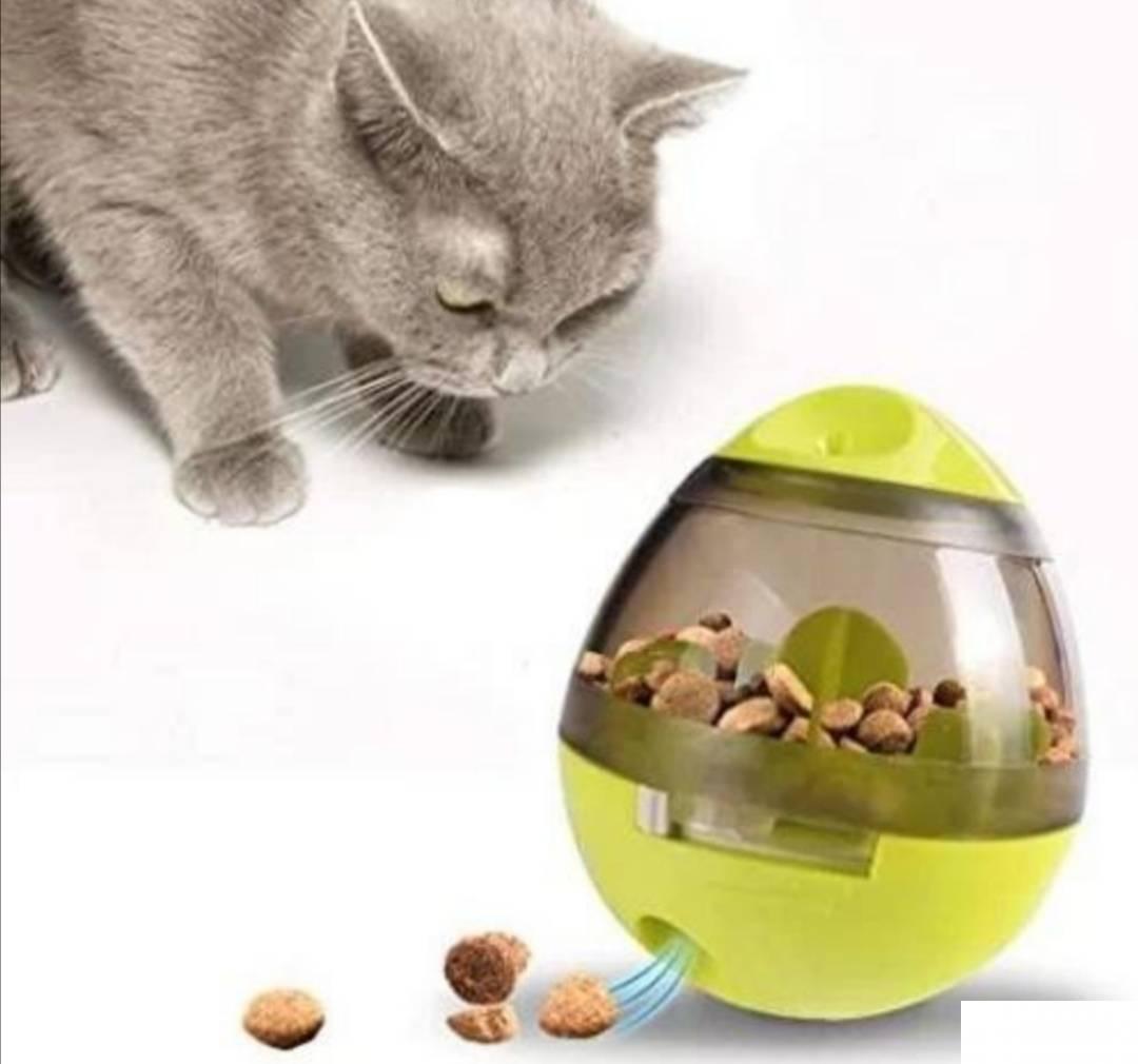 125169326_616ed5250c3392-199561861634653448019