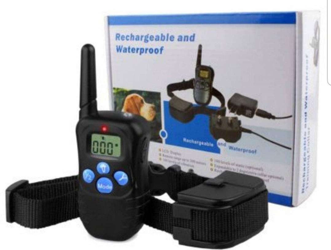 130300043_61dff1772a5c65-996260661642066254640