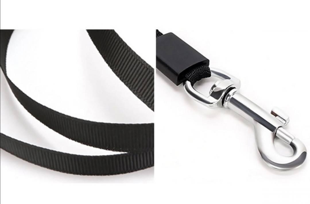 132167999_6208a8a112bcb1-443049781644734597929