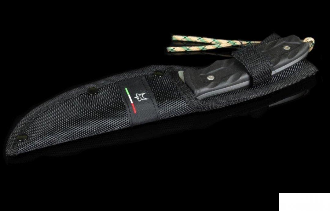 73802618_5c70a23ad045a6-9261559420190223_022926