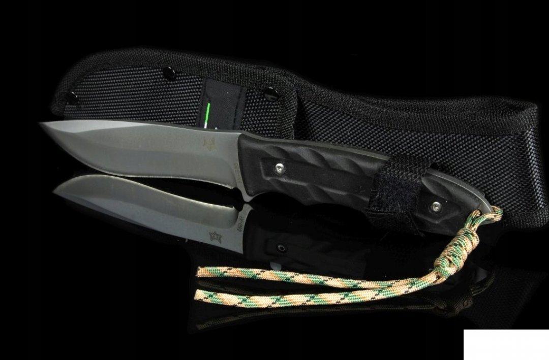 73802618_5c70a23ad1fdf4-8308195520190223_022918