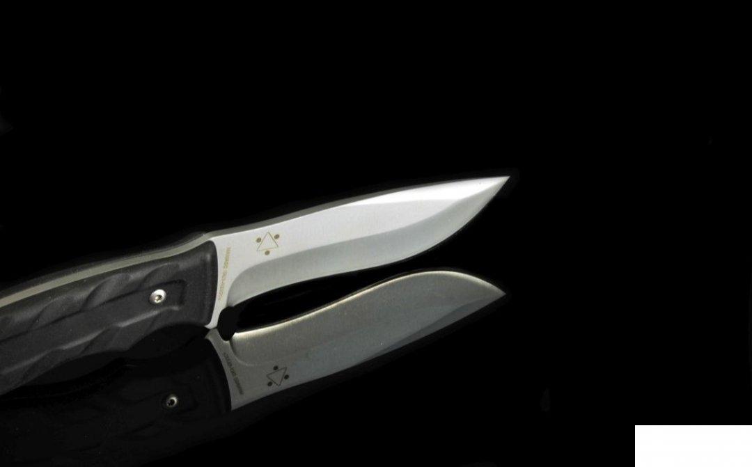 73802618_5c70a23ad3a611-3476461820190223_022911