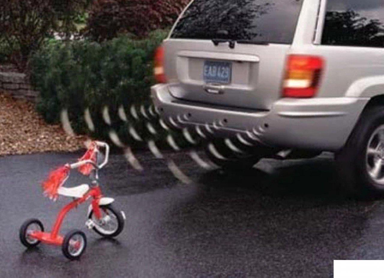 78673875_5cef195108b710-50300785IMG-19b48c308a9