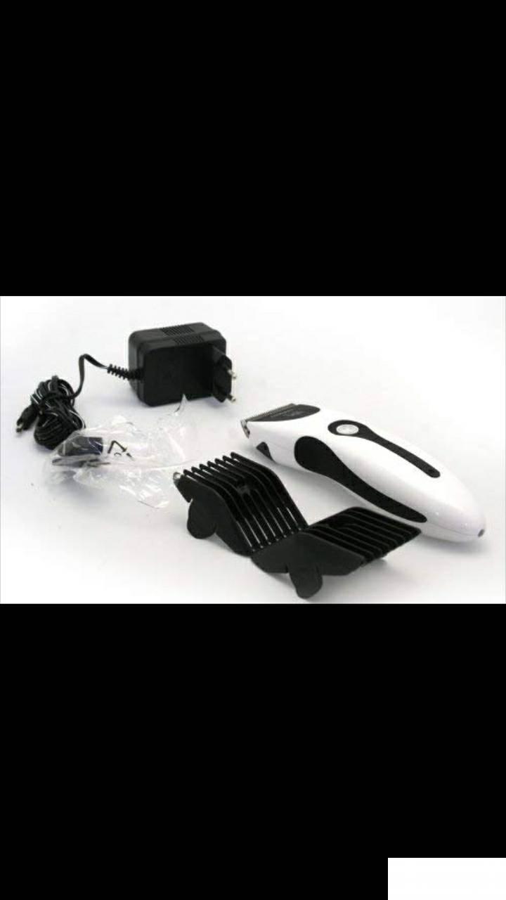 85259072_5db03b4bceb766-775114431571830569042