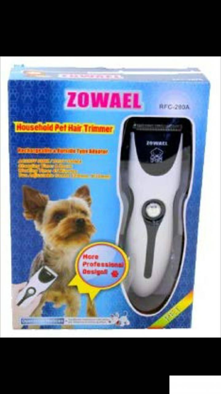 85259072_5db03b4bd08603-410343691571830569336