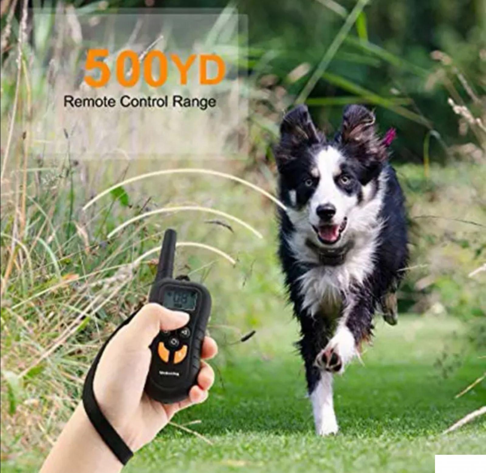 88887777_5e125e3c794f19-38290990IMG-8105e4be3f1