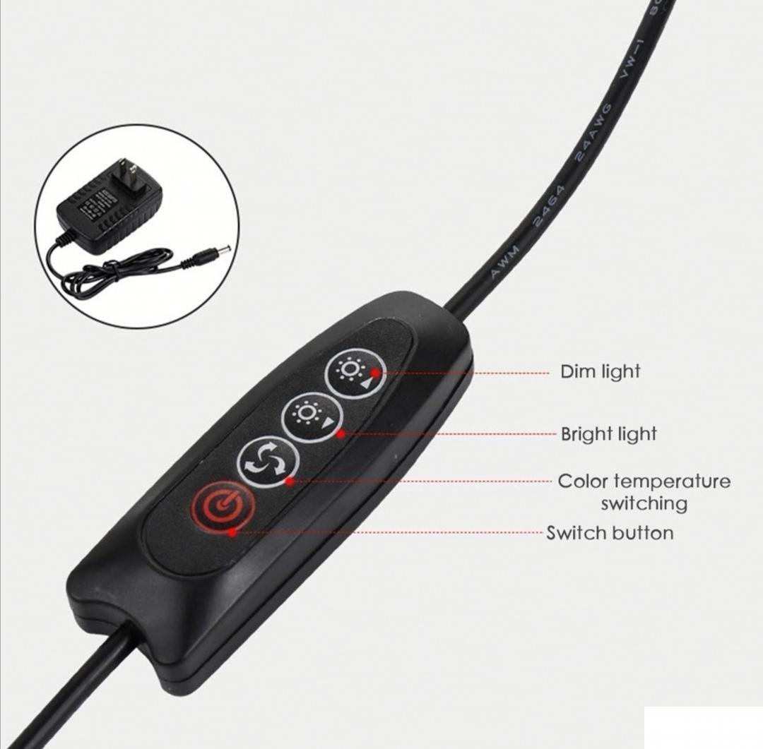 92462662_5e6d239b02a118-99432760IMG-3567ee80a4b