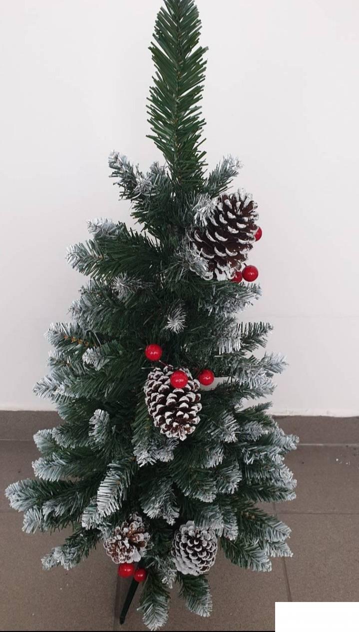 126235678_61868bf64be8d9-437382501636207483209